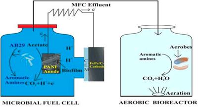 Polyaniline on Stainless Steel Fiber Felt as Anodes for Bioelectrodegradation of Acid Blue 29 in Microbial Fuel Cells